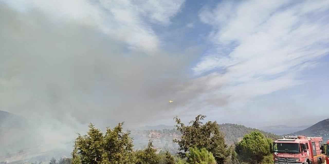 İzmir Büyükşehir Belediyesi ekipleri Foça'daki yangına müdahaleyi sürdürüyor