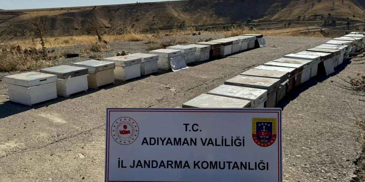 Adıyaman'da arı kovanlarını çalan şahıs yakalandı!