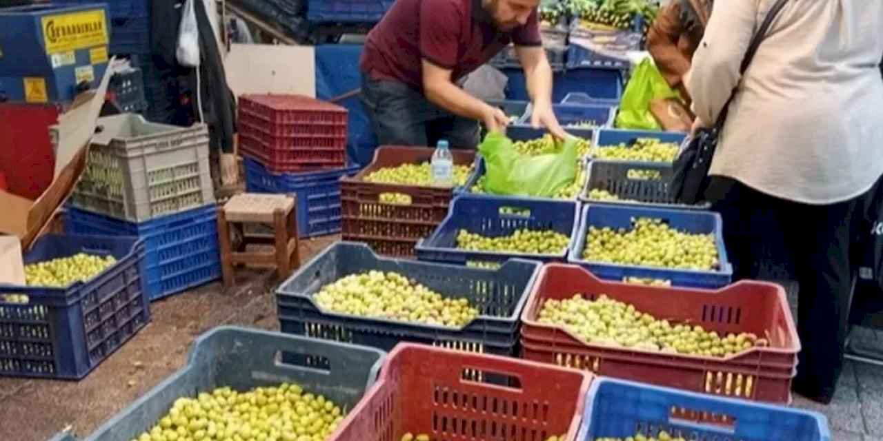 Bursa Tuz Pazarı’nda kurmalık zeytin satışı başladı