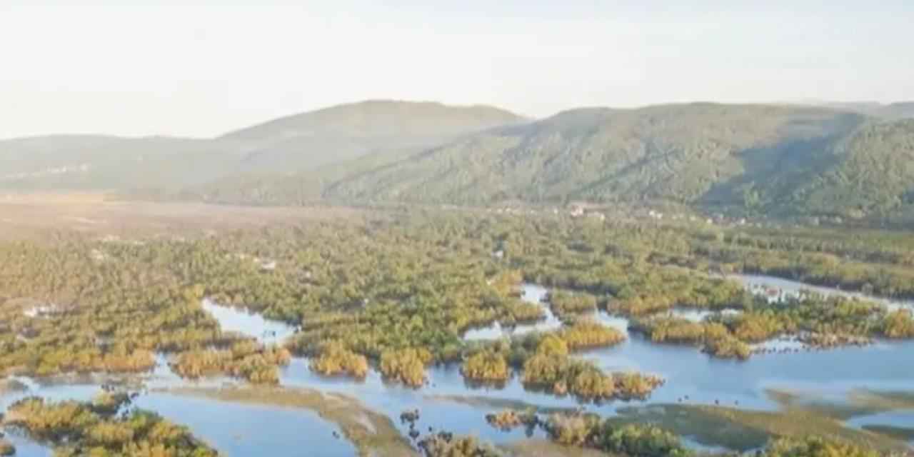 Karacabey Longozu su toplamaya başladı