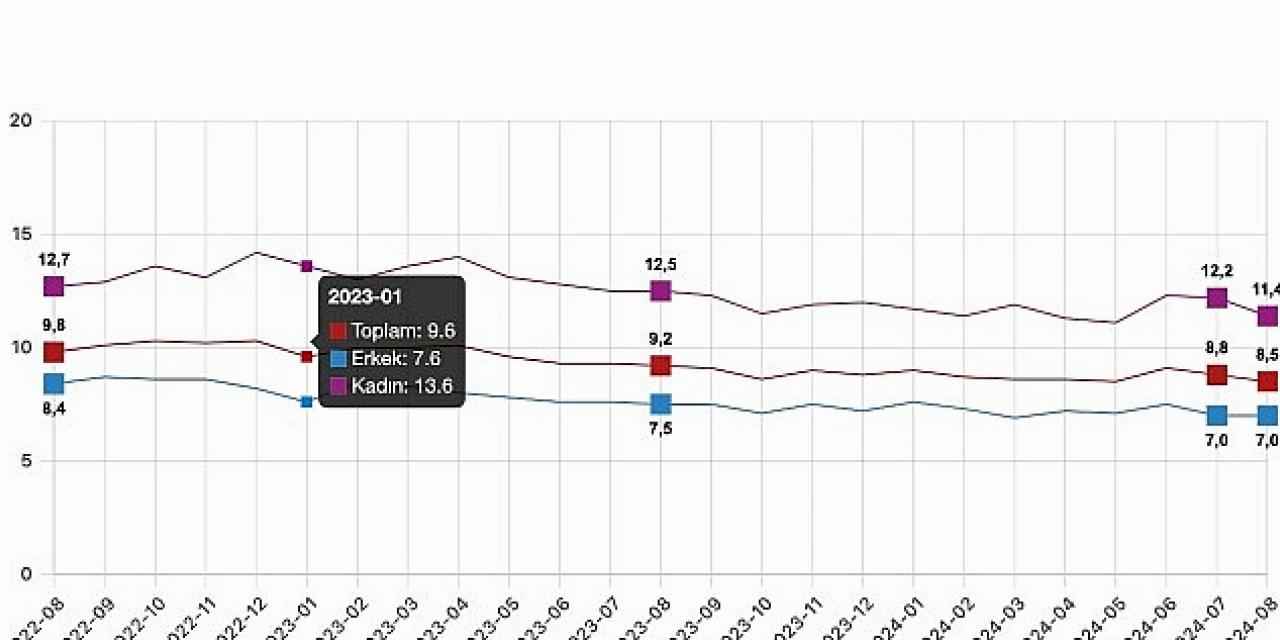 Tüik: Mevsim etkisinden arındırılmış işsizlik oranı %8,5 seviyesinde gerçekleşti