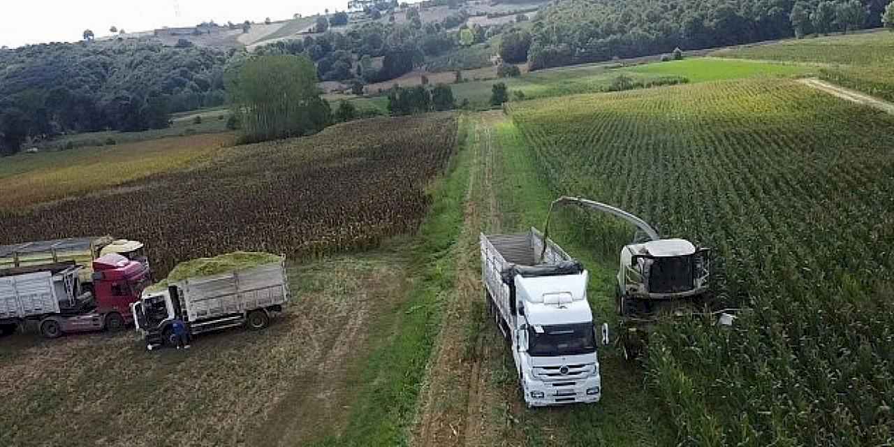 Büyükşehir destekledi, üreticinin yüzü güldü