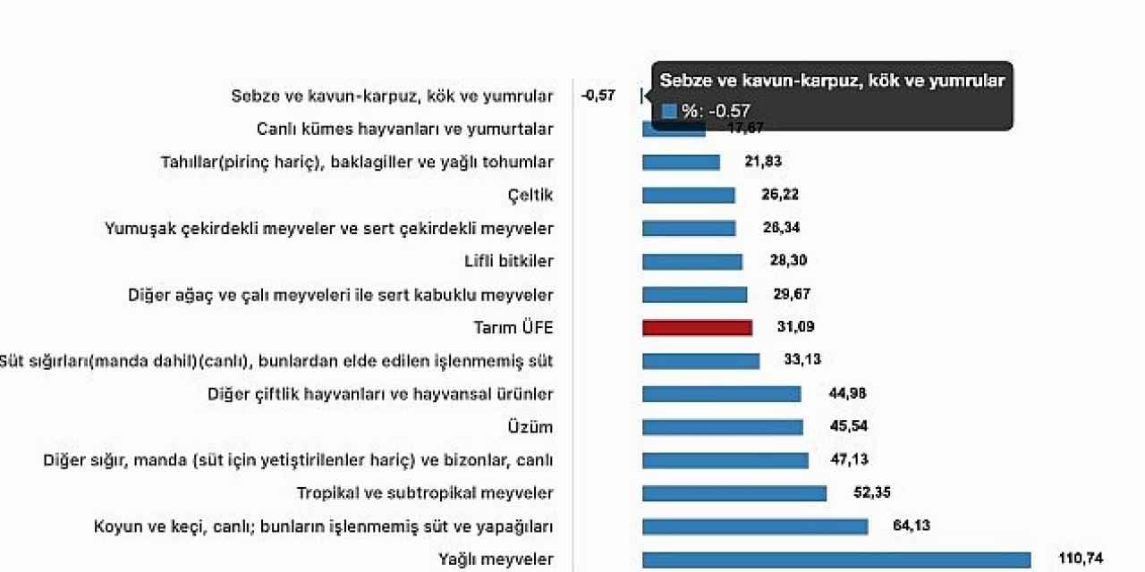 Tüik: Tarım ürünleri üretici fiyat endeksi (Tarım-ÜFE) yıllık %31,09 arttı, aylık %2,00 arttı