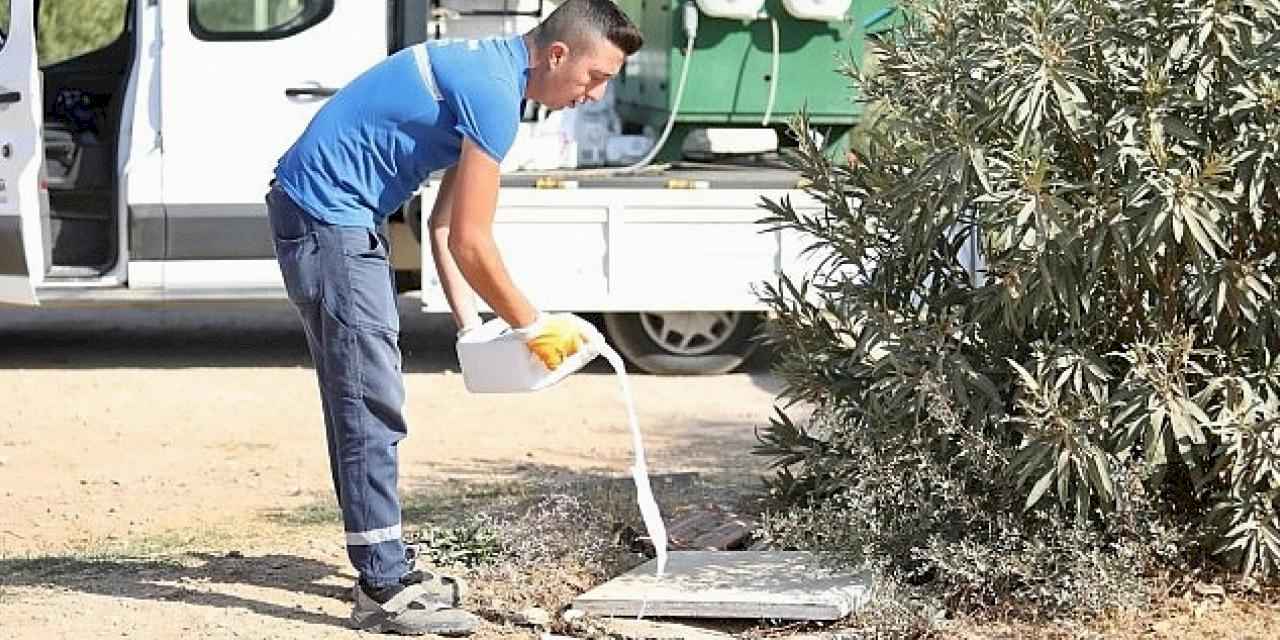 Didim'de ilaçlama çalışmaları aralıksız devam ediyor.