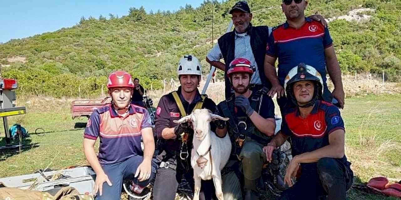 İzmir İtfaiyesi'nden yürekleri ısıtan kurtarma operasyonu