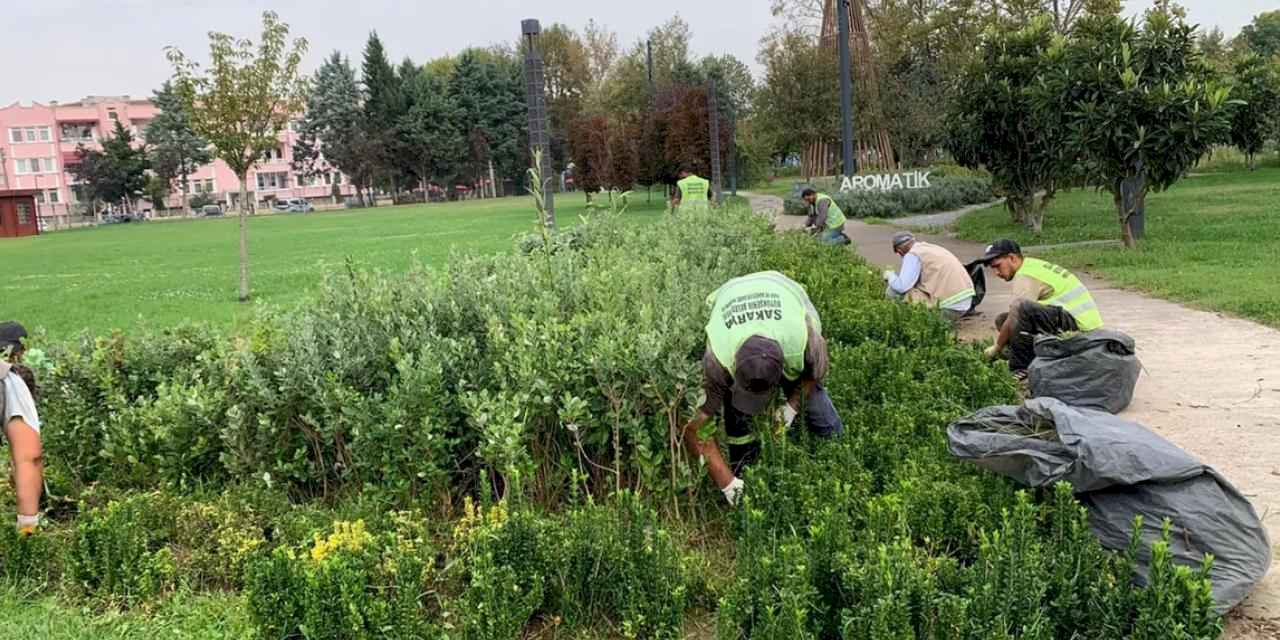 Sakarya'da şehrin dört bir yanına sonbahar dokunuşu