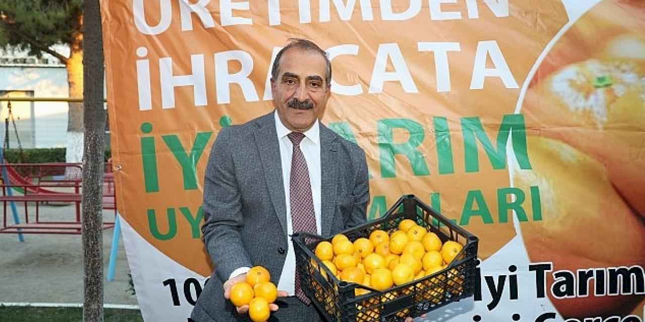 Satsuma mandalina yüklü TIR'lar ihracata yolcu edildi