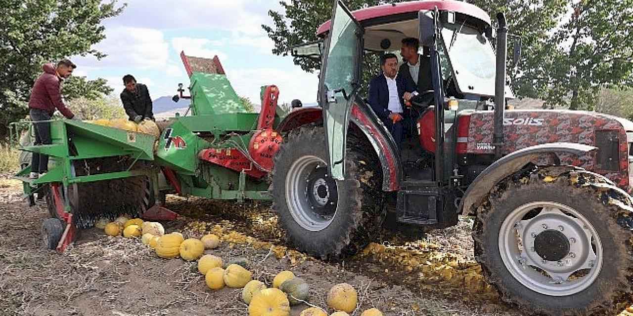 Nevşehir Belediyesi 1. Kabak Çekirdeği Festivali yapıldı.