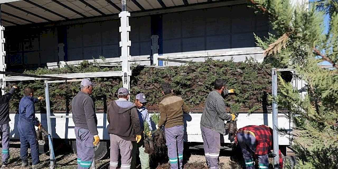 Nevşehir tarihinin en büyük ağaçlandırma seferberliği başlıyor.