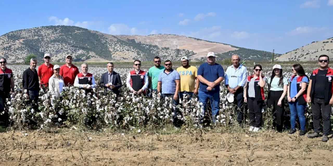 İzmir Torbalı'da teşvikli tarlalarda pamuk hasadı