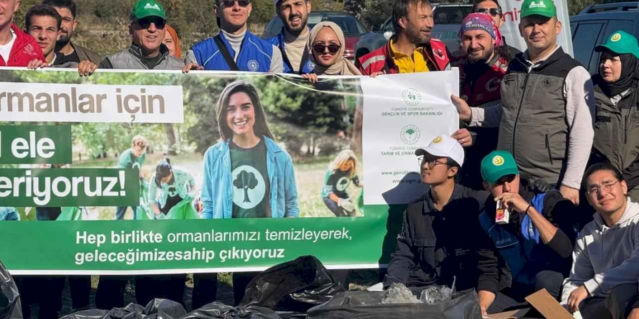 Bursa, Bilecik ve Yalova'da orman temizliği