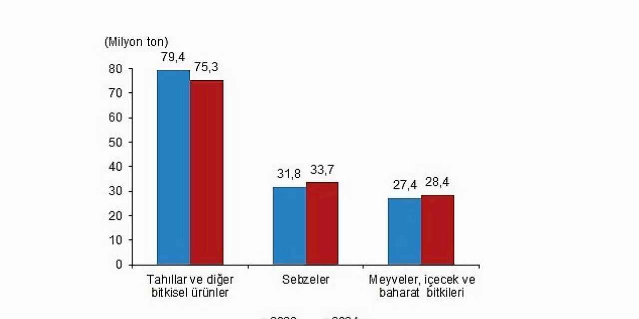 Tüik: Bitkisel üretimin bir önceki yıla göre tarla ürünlerinde azalacağı, meyve ve sebze grubunda ise artacağı tahmin edildi