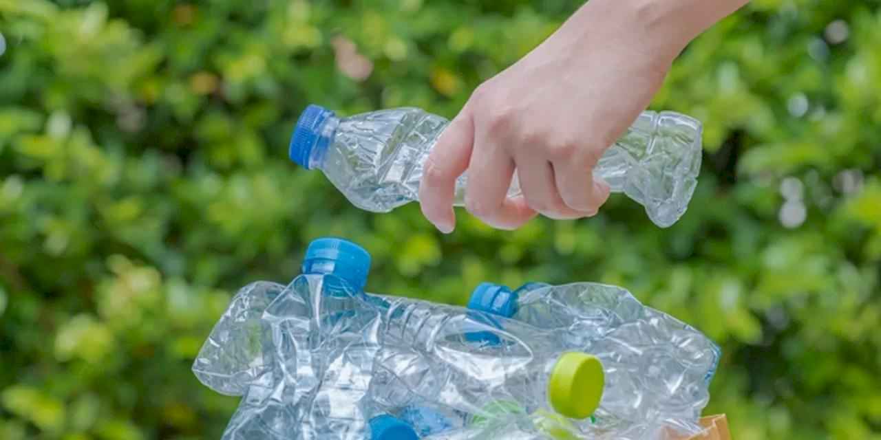 Her yıl 57 milyon ton plastik doğaya karışıyor