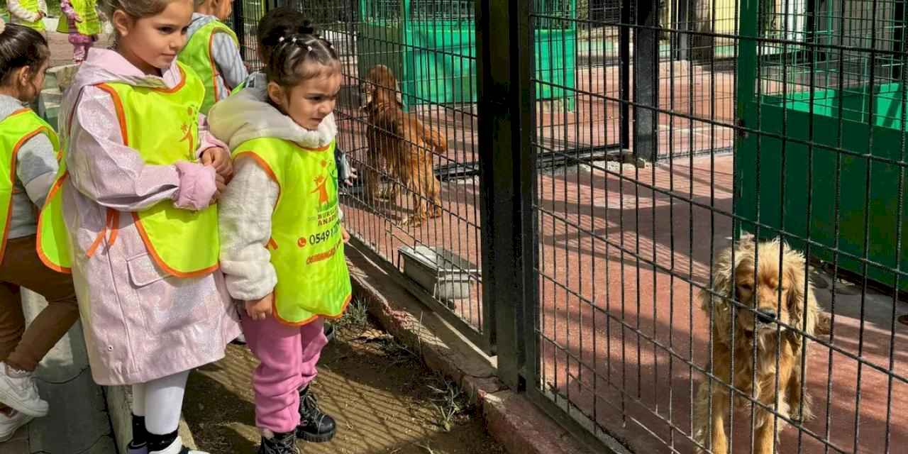 Osmangazi'de küçük hayvanseverlerden can dostlarına ziyaret