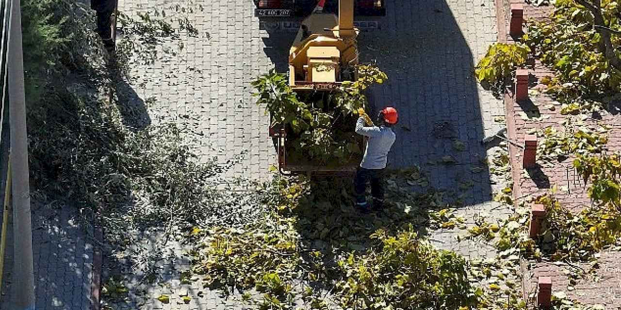 Selçuklu'da Ağaç Budama Çalışmaları Devam Ediyor