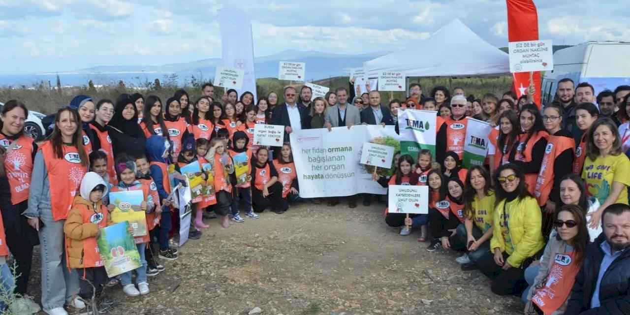 Bursa'da fidanlar ormana, organlar hayata dönüştü