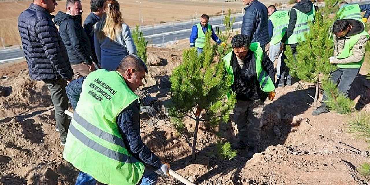 Sivas Belediyesi anlamlı bir çalışmaya imza atarak mevsimlik işçiler adına hatıra ormanı oluşturdu.