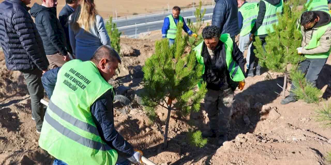 Sivas'ta mevsimlik işçiler adına hatıra ormanı