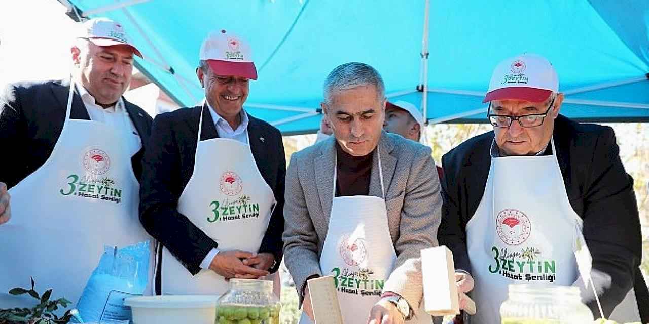 Aliağa'da 3. Zeytin Hasat Şenliği Düzenlendi