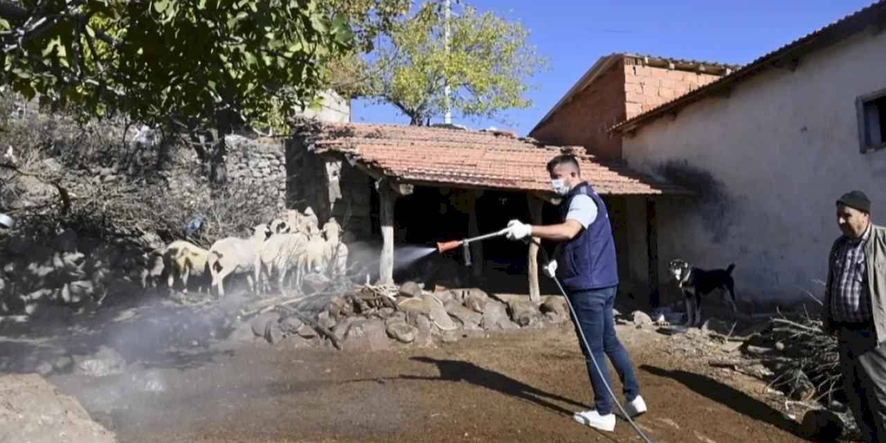 Manisa'da mavi dil hastalığıyla mücadele kapsamında 111 mahalle ilaçlandı