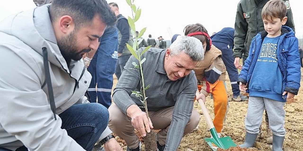 Kandıra'da 1.500 Defne Fidanı Toprakla Buluştu.