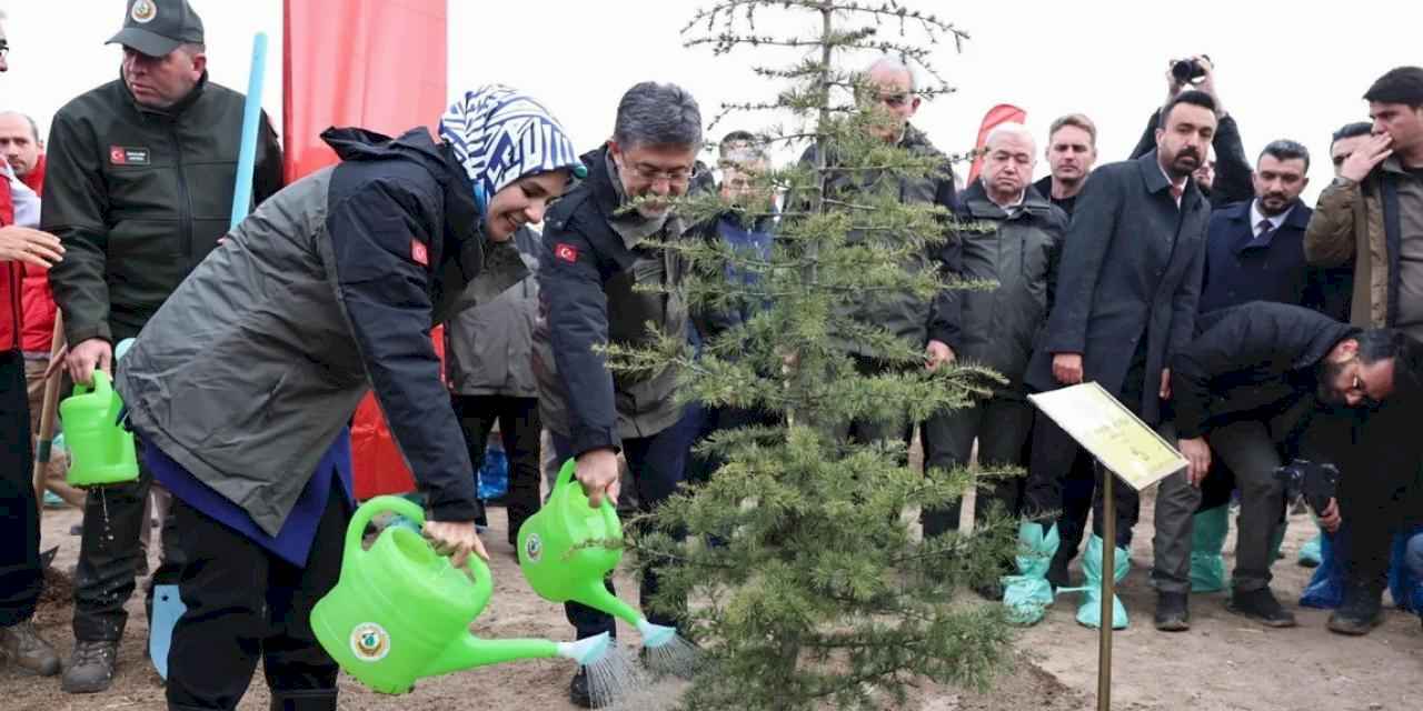 Geleceğe nefes fidanlar 'Gazze Hatıra Ormanı'nı yeşertecek