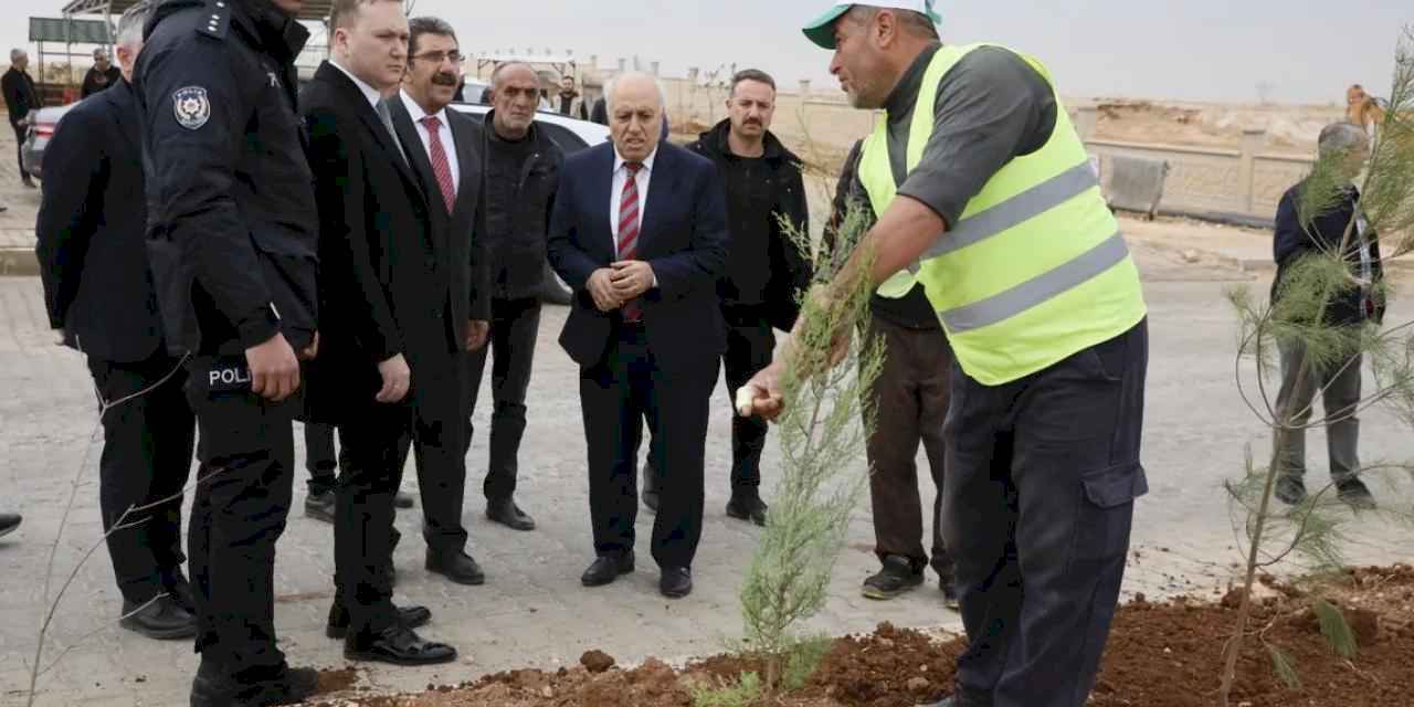 Mardin Yeşilli 2.ci OSB’de binlerce ağaç toprakla buluştu