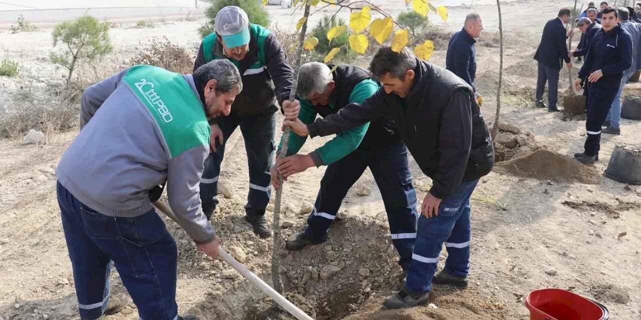 Bursa KAYAPA OSB’ye 1000 adet fidan dikimi