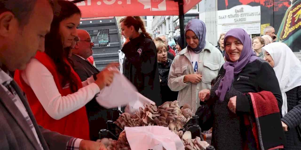 İzmit'te hasatın bereketi sürüyor... 850 kilo istiridye mantarı dağıtıldı