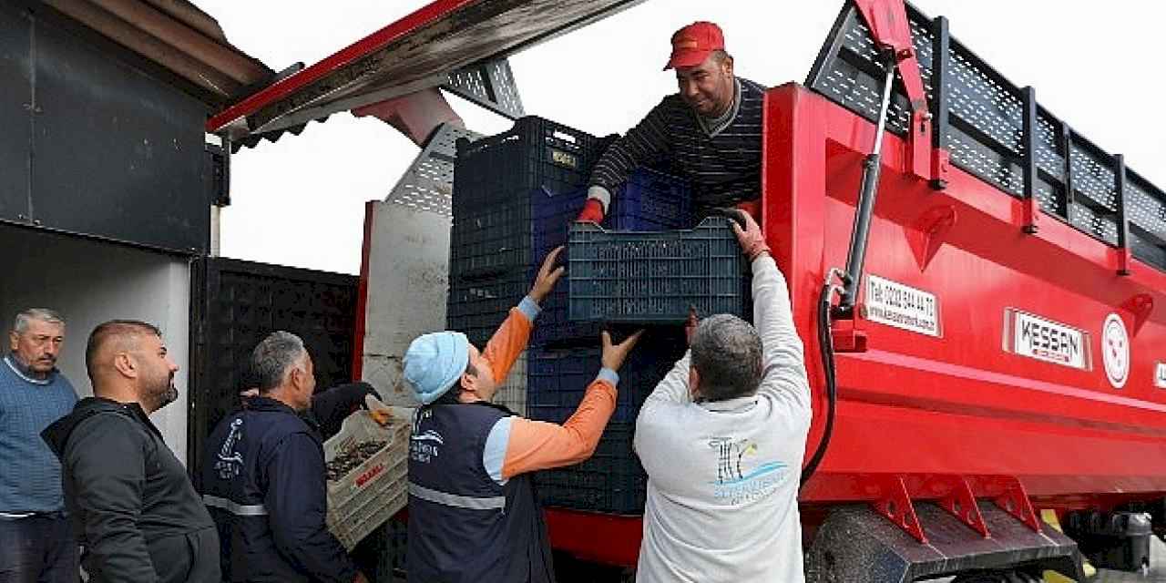 Seferihisar'da Zeytinyağı Sezonu Açıldı