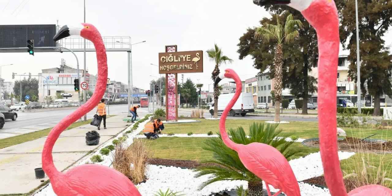 İzmir Çiğli'de ziyaretçileri flamingolar karşılıyor