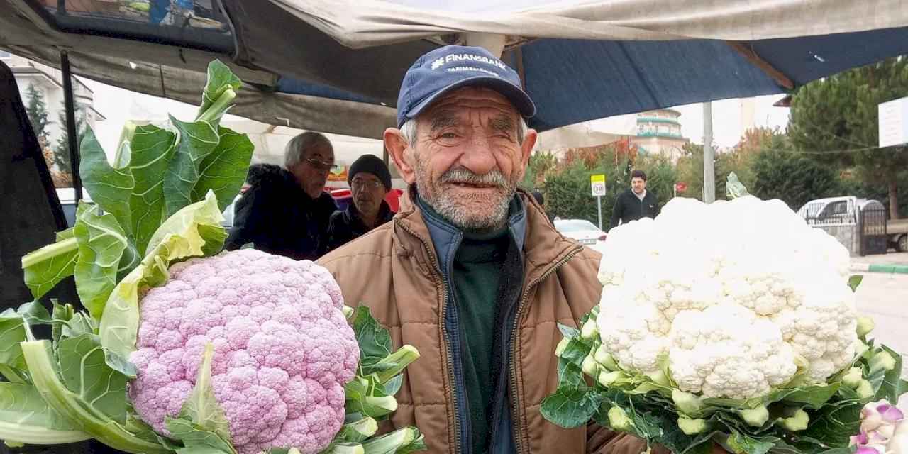 Bursa Yenişehir'de mor karnabahar 'Pazar'ın gözdesi