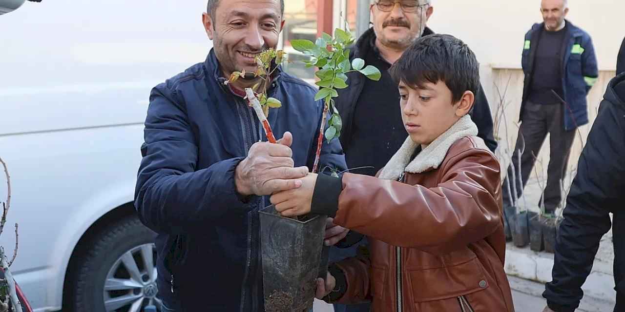 Konya'nın 3 ilçesinde üreticiye Antep Fıstığı desteği