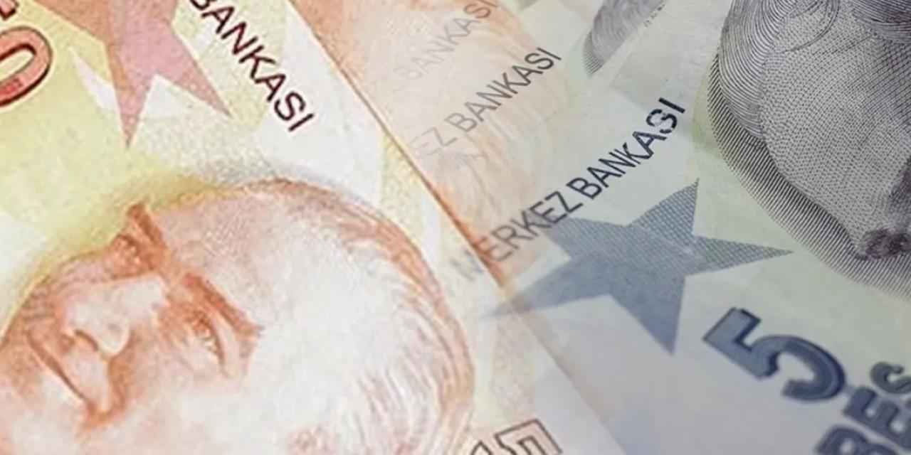 5 ve 50 TL'lik yeni banknotlar piyasada