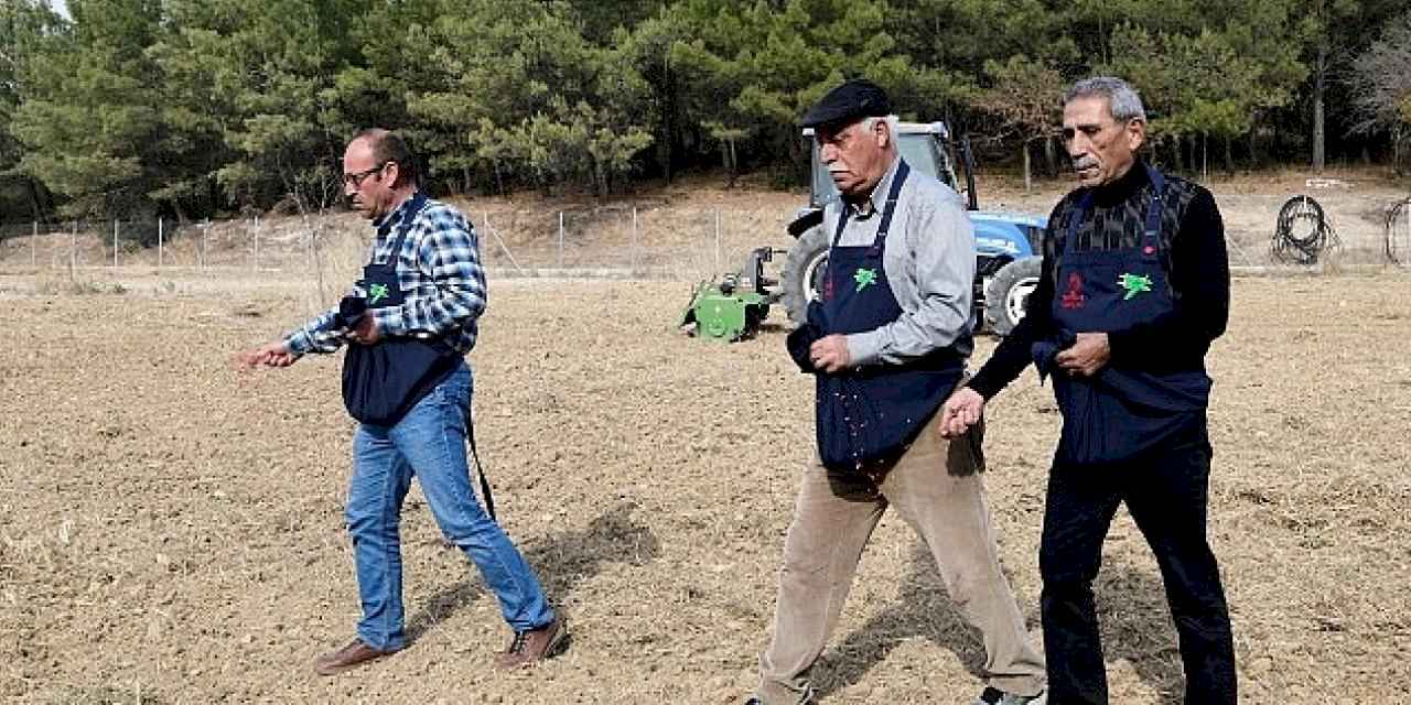 Üreticiye destek için buğday ekimi yapıldı