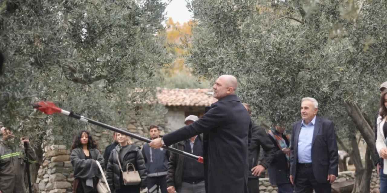 Marmara Adası'nda zeytin hasat şenliği düzenlendi