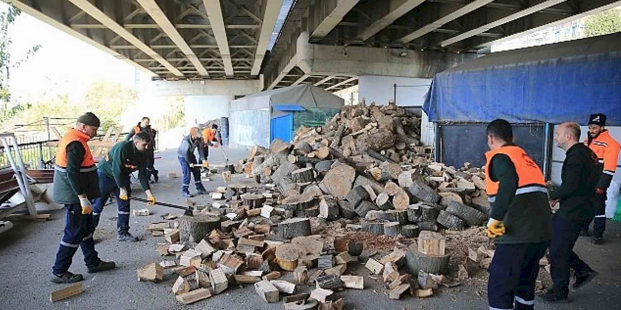 Bayrampaşa'da budanan ağaçlar evleri ısıtıyor