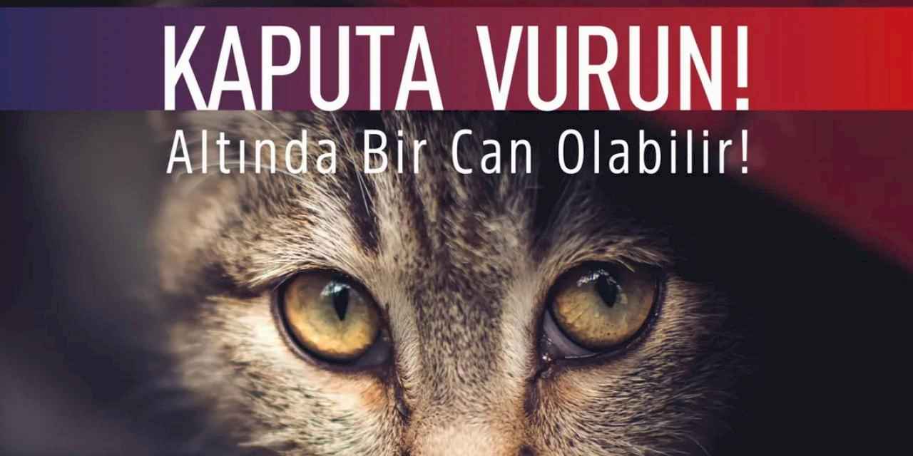 Bursa Osmangazi'den araç sürücülerine uyarı: Önce kaputa vurun!