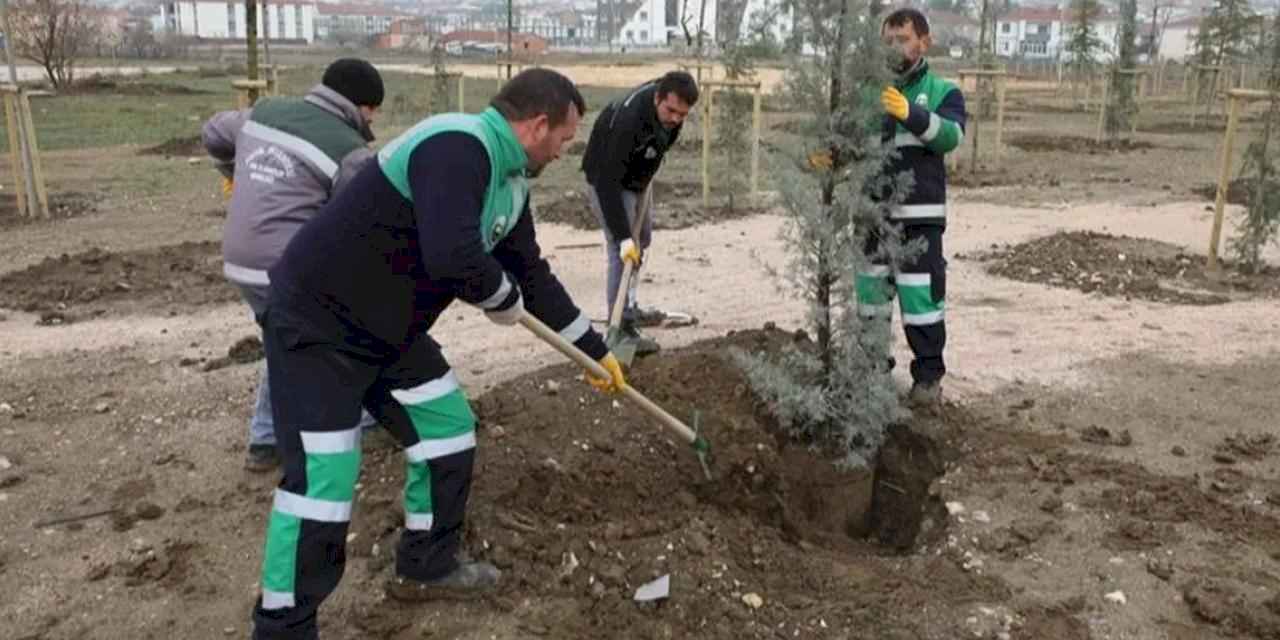 Bursa İnegöl'de 167 fidan toprakla buluştu