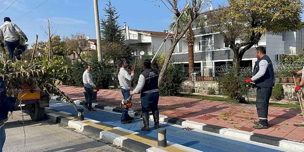 Büyükşehir Kent Genelinde Budama Çalışmalarına Devam Ediyor