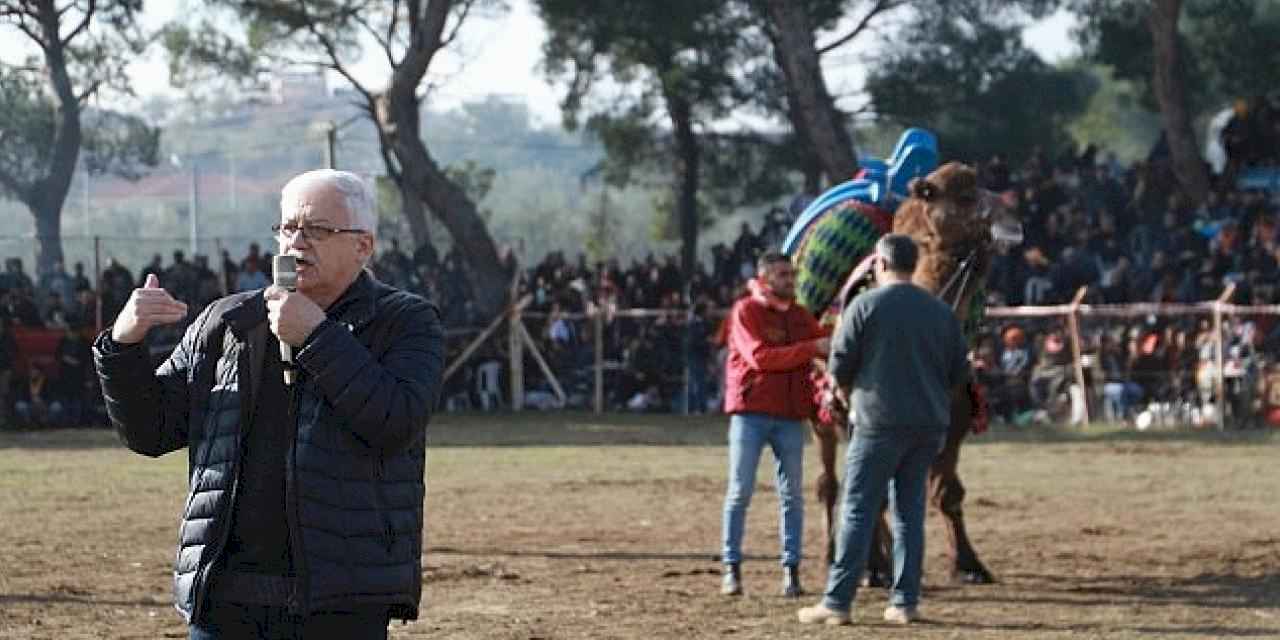 Pelitköy Deve Güreşleri İçin Geri Sayım Başladı