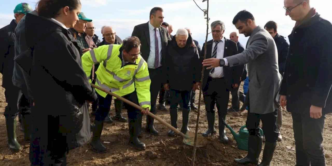 Bursa Karacabey'de şehit Aybüke öğretmen anısına hatıra ormanı