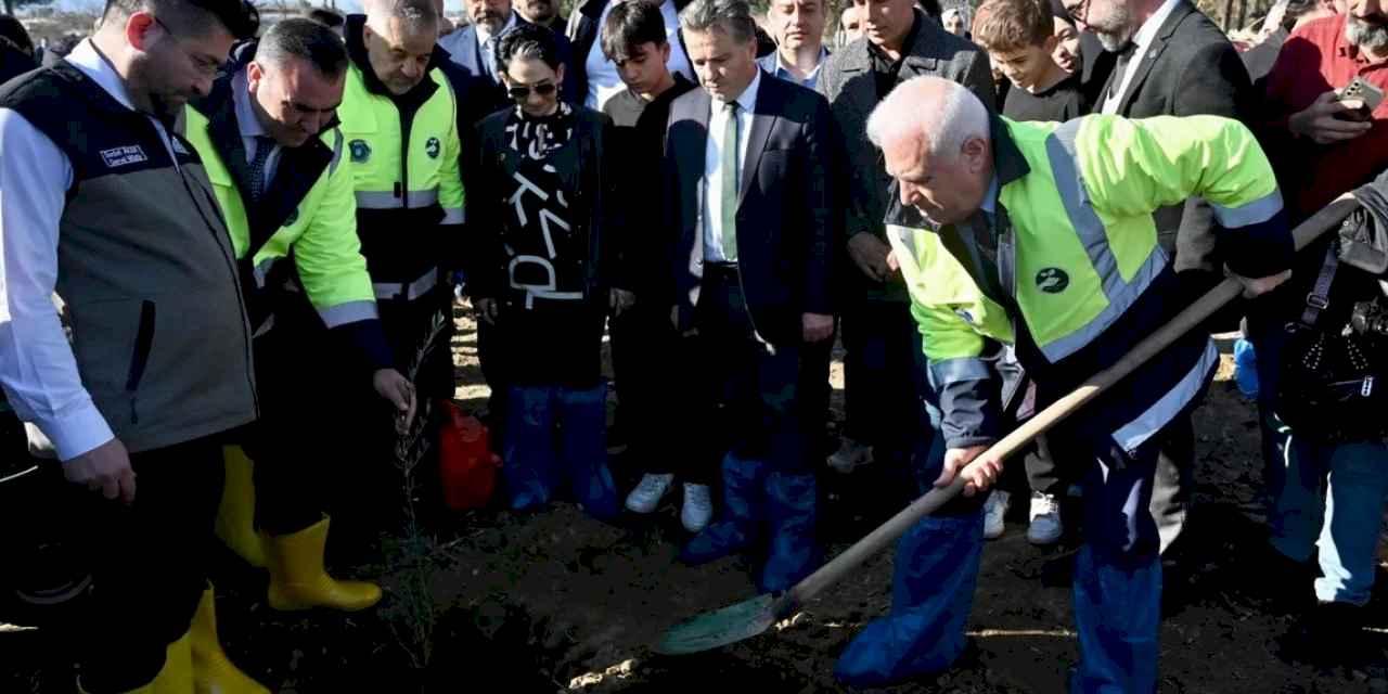 Bursa'da zeytin fidanları toprakla buluştu