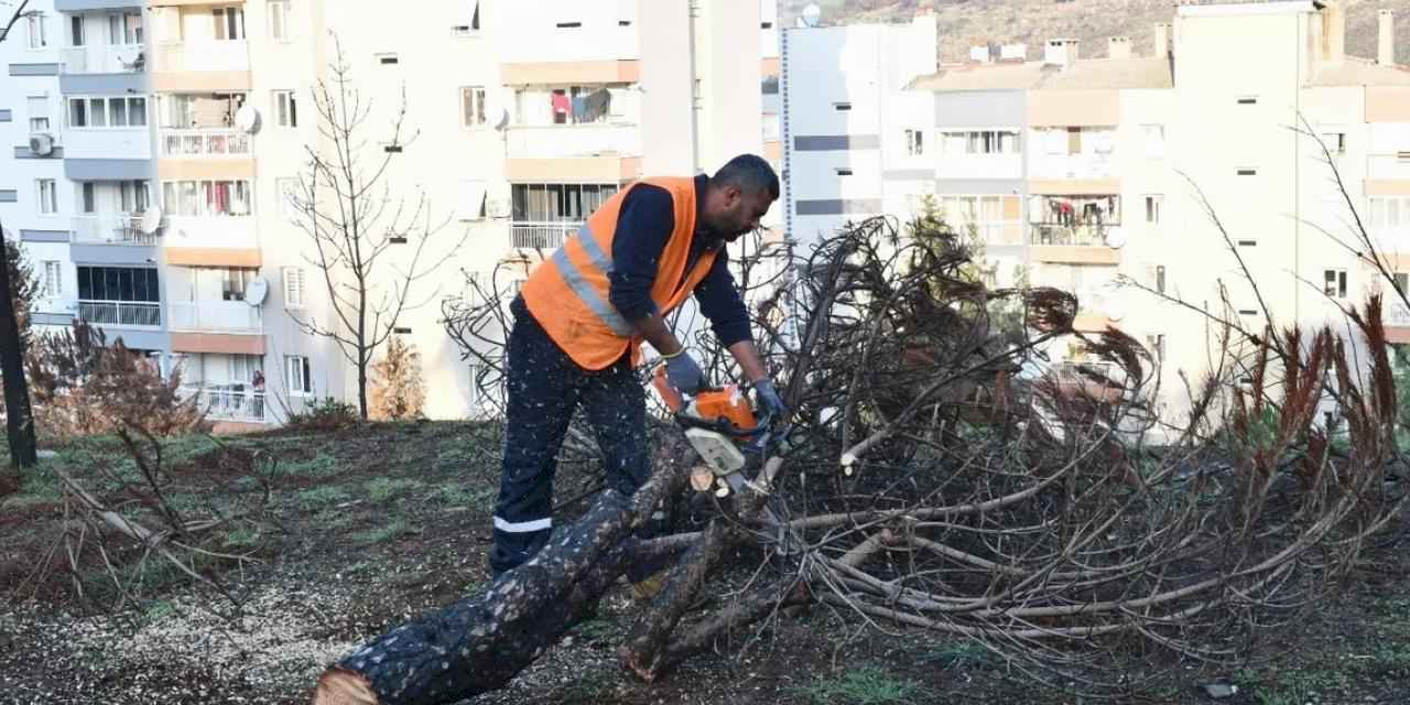 İzmir Çiğli yangın izlerini siliyor!