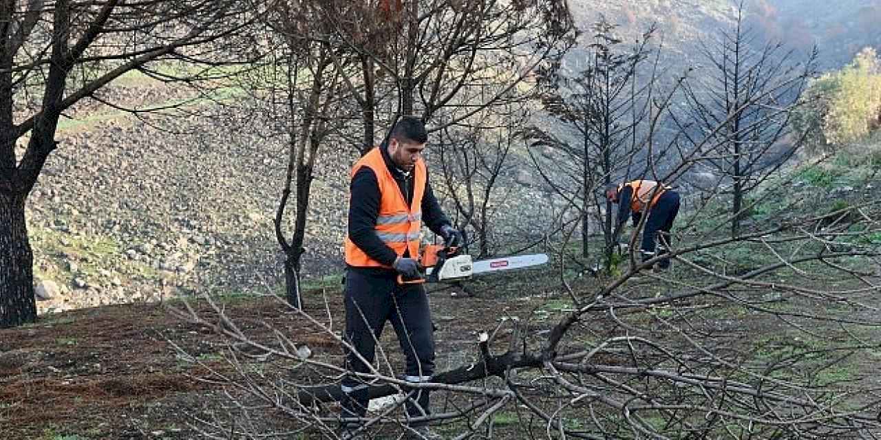 Çiğli Belediyesi Orman Yangınının İzlerini Silmek İçin Seferber Oldu