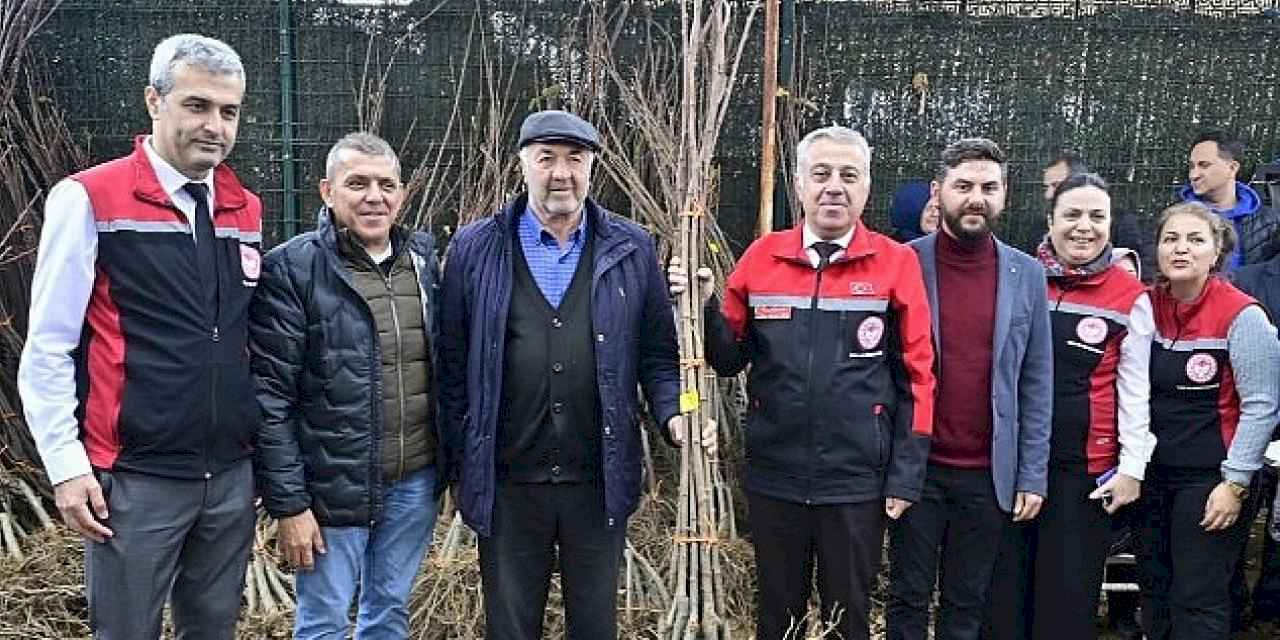 İzmirli Kestane Üreticilerine Kestane Gal Arısına Dayanıklı 2 bin 620 Fidan Dağıtıldı