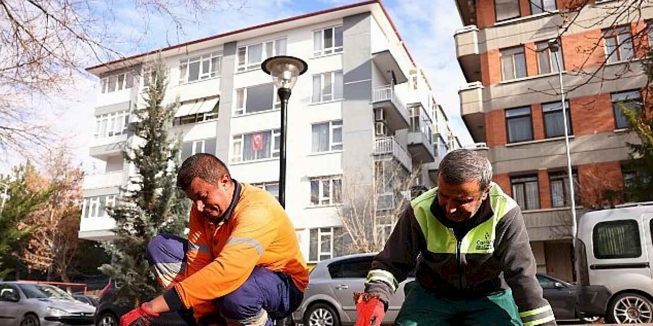 Çankaya parkları çiçek açıyor