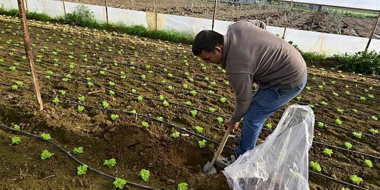 Hümik Asit Uygulamasıyla Verimli Topraklar, Sağlıklı Ürünler