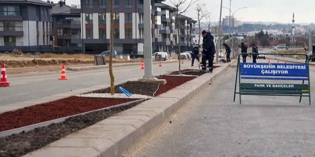 Eskişehir Büyükşehir'den 'kuru peyzaj' çalışması