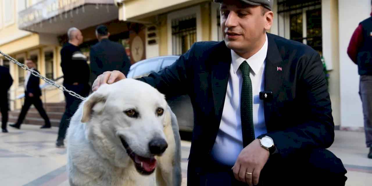 İzmir Bornova uyutmadı, sahiplendi